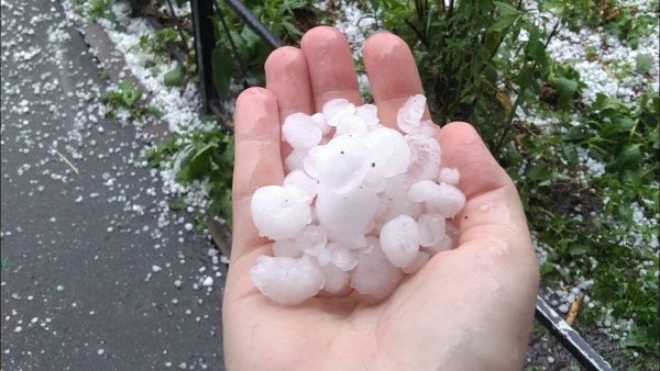 Солнце сквозь дождик