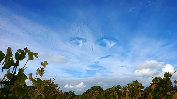 Глаза на фоне неба