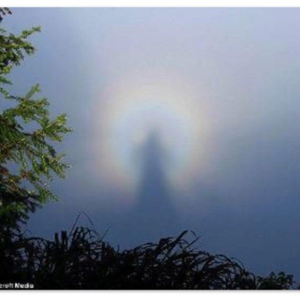 Явление ангелов