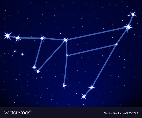 Созвездие козерога Альгеди