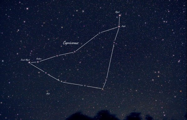 Созвездие Capricornus
