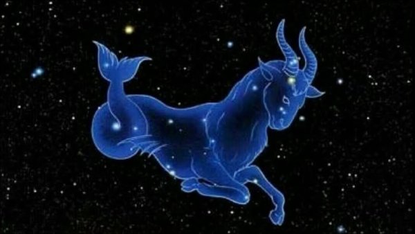 Коза Амалфея Созвездие