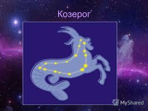 Зодиакальные созвездия для детей Козерог