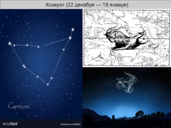 Capricornus знак зодиака