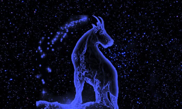 Созвездие козерога