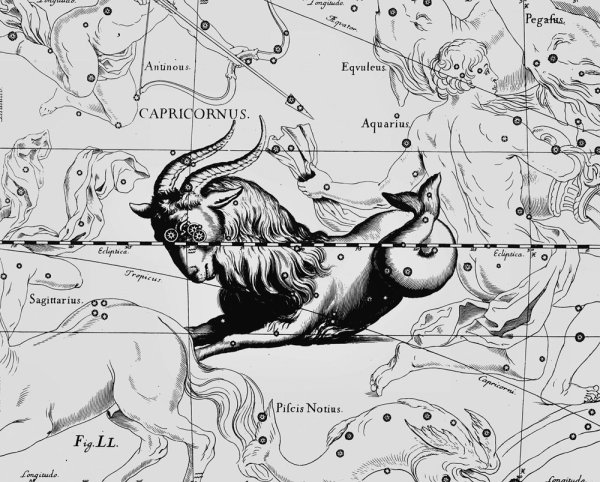 Самая яркая звезда в созвездии козерога