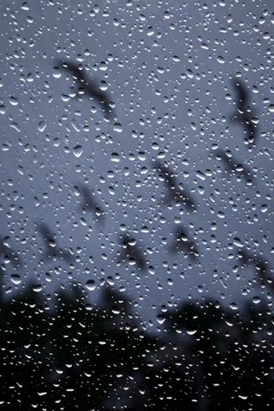 Мне очень плохо без тебя любимый стихи до слез