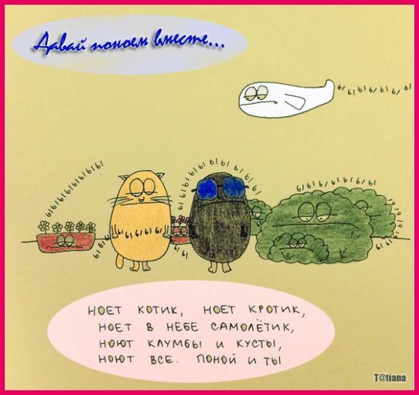 Ноет котик