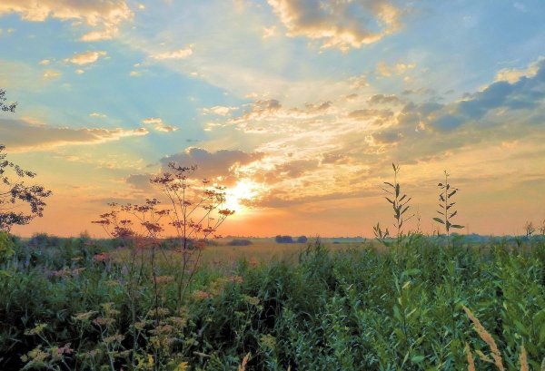 Ранний закат