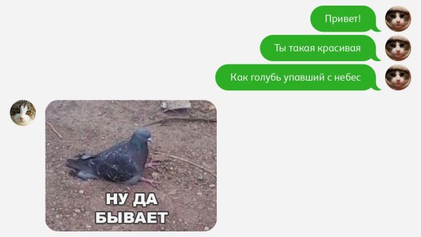 Прекрасна как голубь упавший с небес