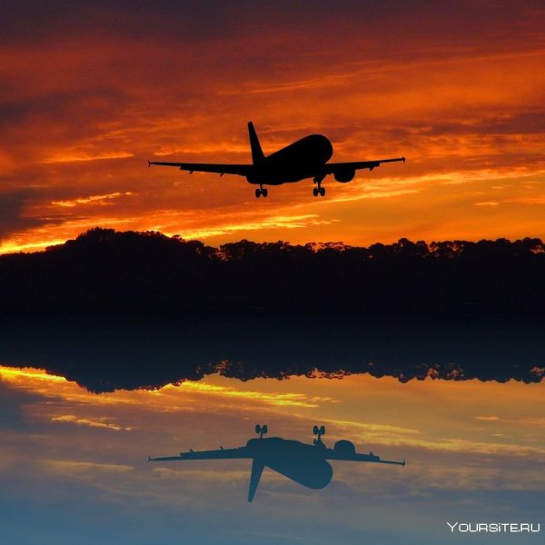 Самолет в небе