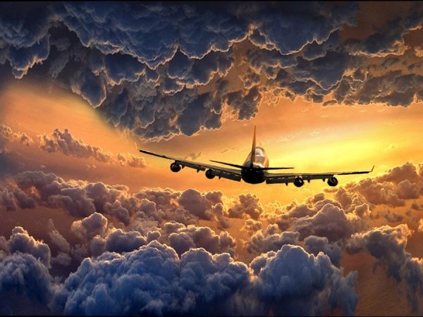 Тамбов Наргиз Гамдуллаева