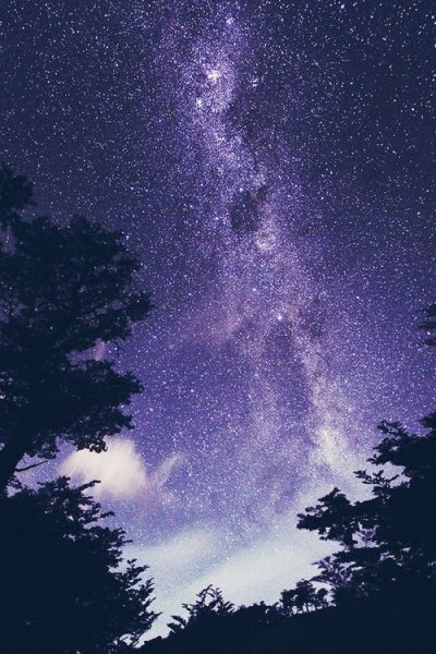 Ночь звезды