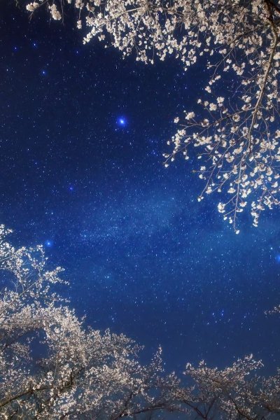 Звезды Эстетика космос