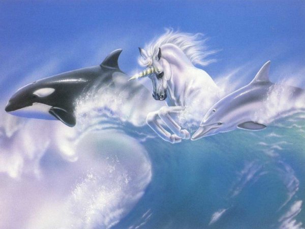 Космические дельфины