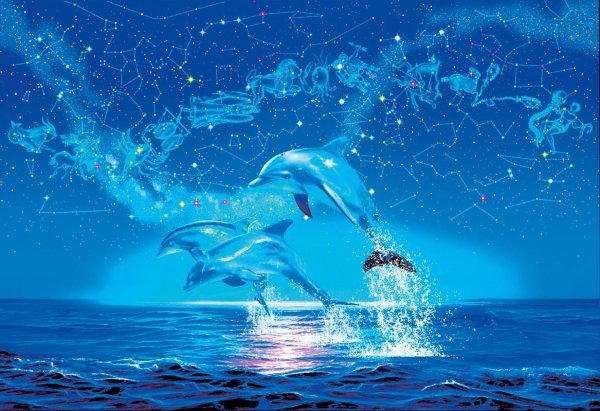 Касатка фон