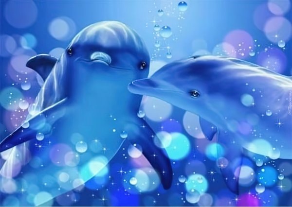 Кит и Дельфин