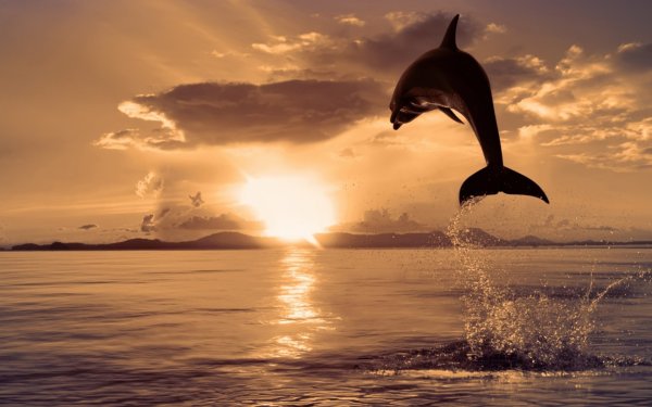 Телевизор Голдстар 32