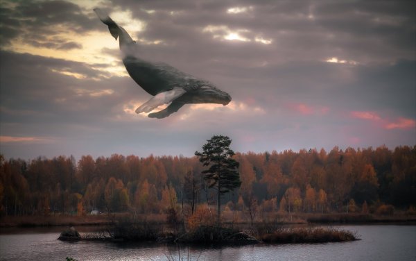 Кит в облаках