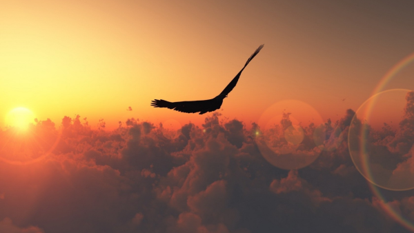 Ангел в полете