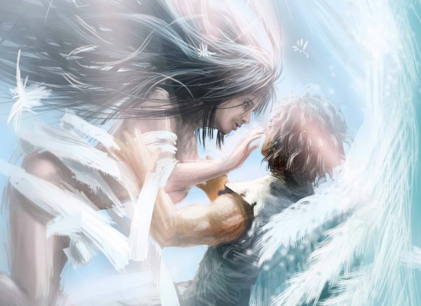 Крылья в полете