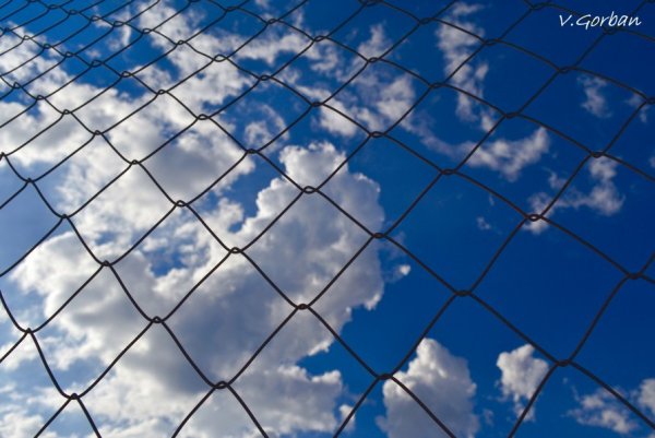 Небо в клетку