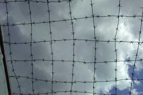 Небо через решетку