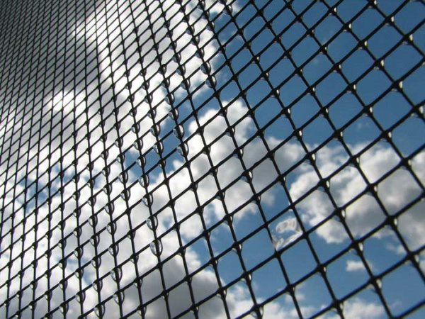 Небо в клетку