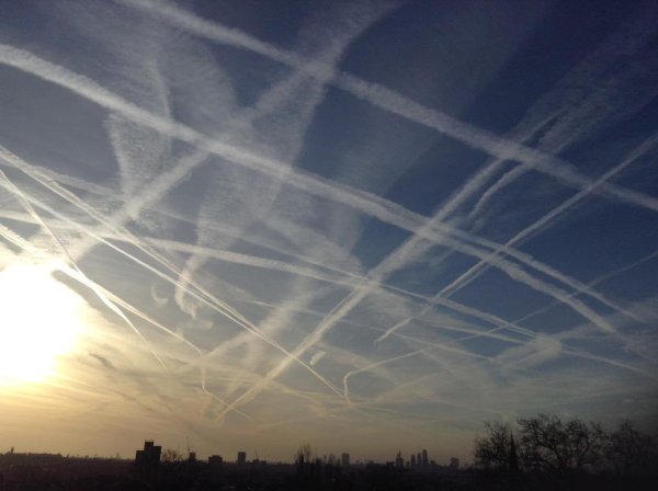 Клетка на фоне неба