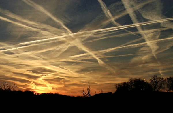 Фон сохранёнок