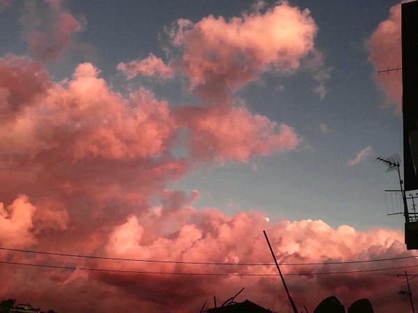 Самолет распыляет химтрейлы