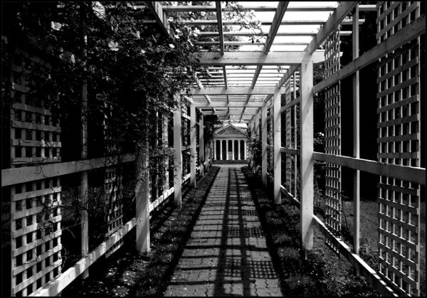 Небо с легкими облаками