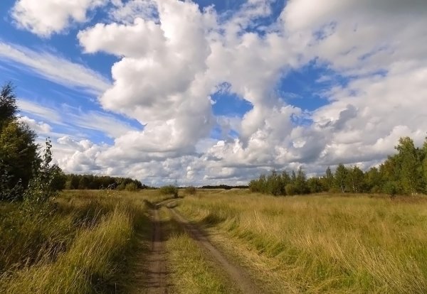 Беларусь Гродненская область природа