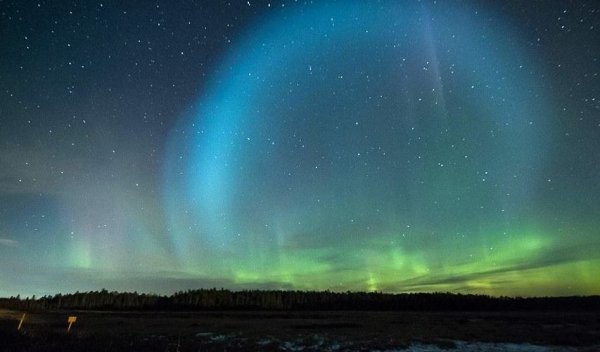 Пасмурный зимний день