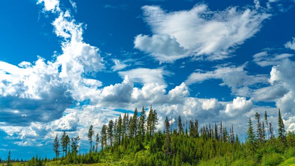 Перистые волокнистые облака