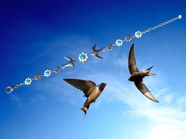 Две ласточки в полете