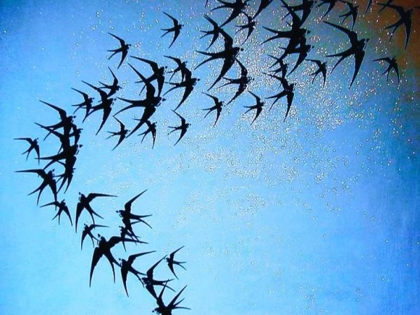 Стайка ласточек