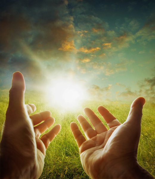 Рука тянется к свету