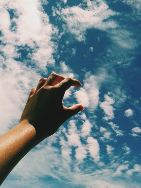 Ладони Бога