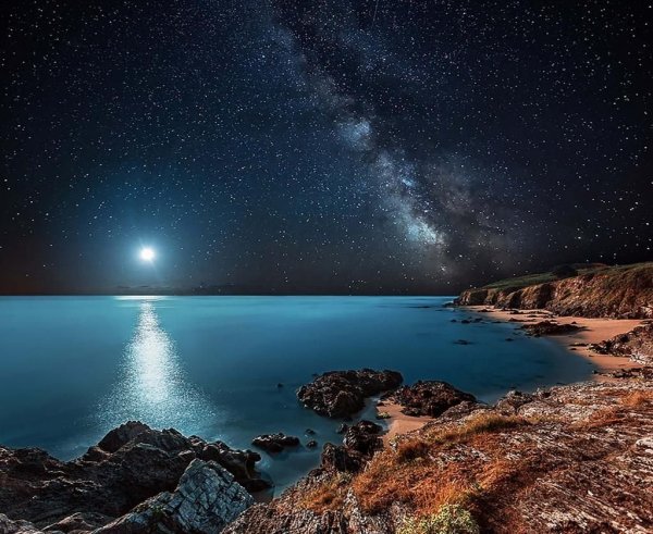 Ночная природа