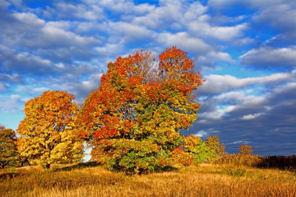 Красивое осеннее небо