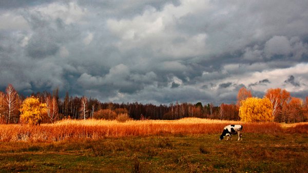 Осеннее небо для детей