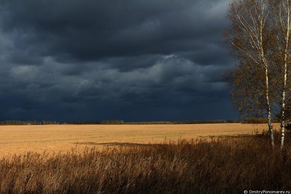 Поле перед грозой
