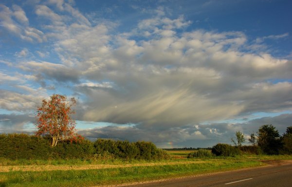 Осенние тучи