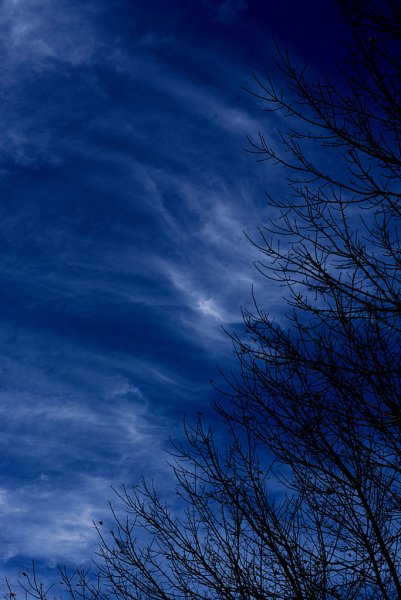 Закат цвета индиго