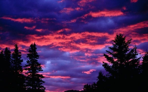 Синий пейзаж