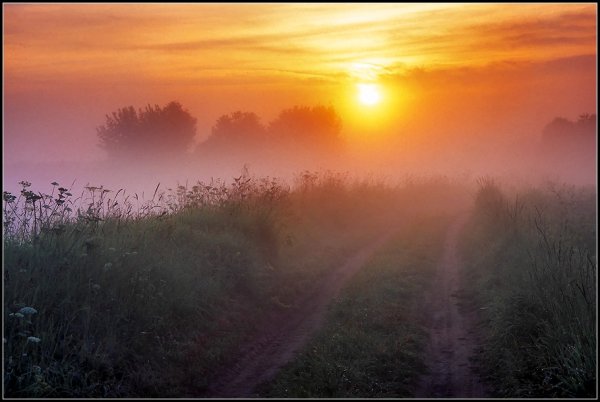 Заря прощается с землею Фет