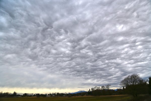 Дождливое небо