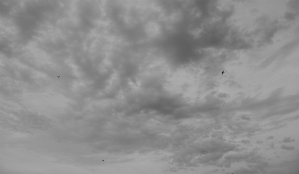 Светло-серое небо для фотошопа