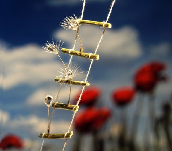 Веревочная лестница в небо